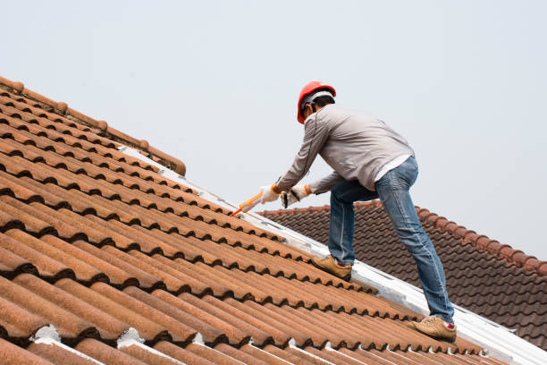 Best Rubber Roofing (EPDM, TPO)  in Lincoln, ID