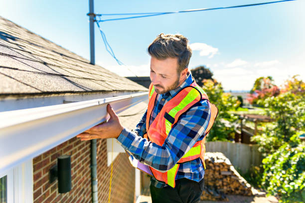 Best Roof Moss and Algae Removal  in Lincoln, ID